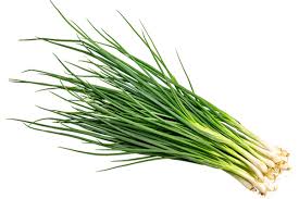 SPRING ONION