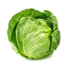 CABBAGE