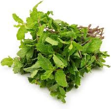 FRESH MINT P/KG