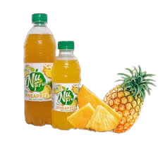 NU FRU PINEAPPLE 250MLS