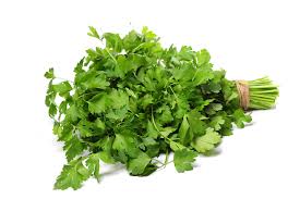 FRESH CORIANDER P/KG