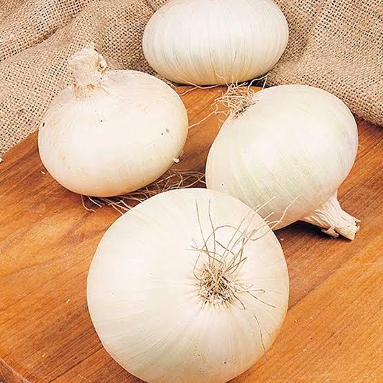 WHITE ONION