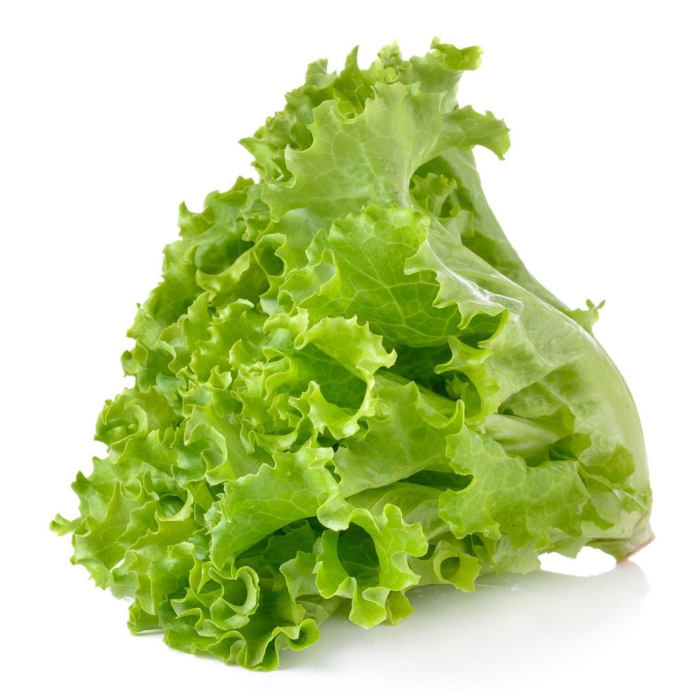LETTUCE BUNCH