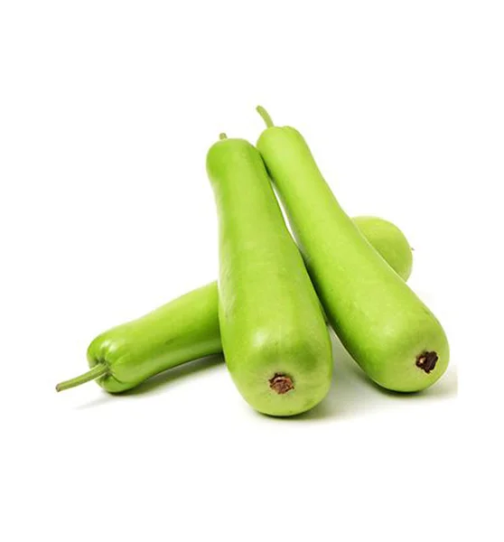 BOTTLE GOURD 