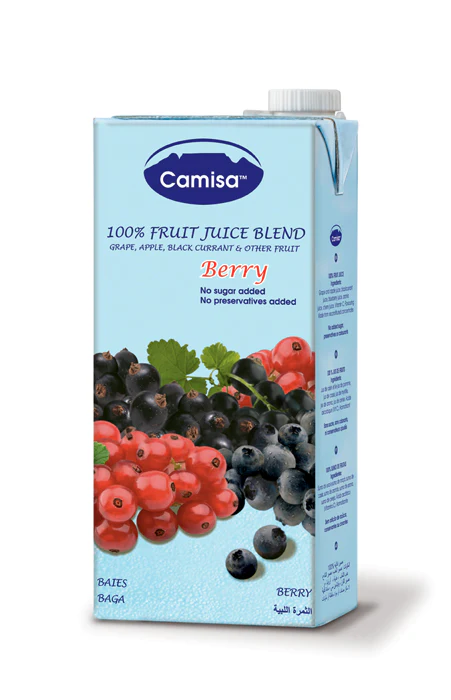 CAMISA 100% FRUIT JUICE BERRY 200ML