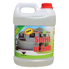SPIRIT OF SALT 