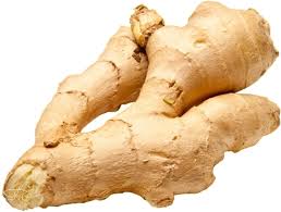 FRESH GINGER