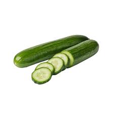 FRESH CUCUMBERS