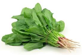 PALAK