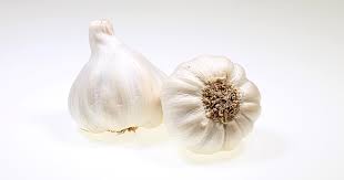 GARLIC