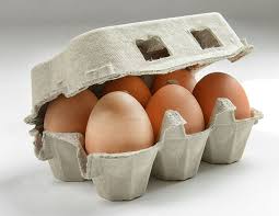 [DTH0000000000659] EGG  TRAY 6-SHELL