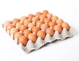 [DTH0000000000970] EGGS TRAY (30PCS)