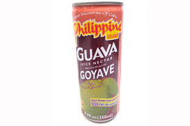 [6161115411380] NU FRU GOYAVE FRUIT JUICE 250ML