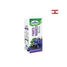 [DTH0000000003558] CANDIA FRUITS ROUGES JUICE (180ML)