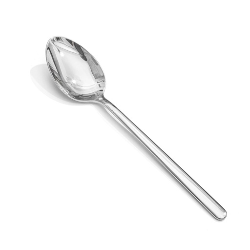 [6667202111855] STAINLESS DINNER SPOON (DANNYHOME)