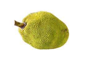 JACK FRUIT 