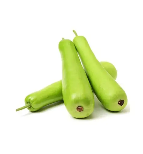 [DTH0000000004190] BOTTLE GOURD 
