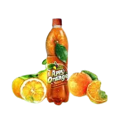 [PET AP-BEV-CAR-BOT-262] PET APPY ORANGE