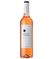 [PINTA-RED-WIN-BOX-282] PINTA NEGRA ROSE WINE