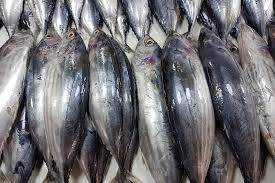 [TUNA F-MEA-FOO-PAC-867] TUNA FISH