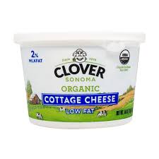 [COTTAG-DAI-FOO-BLO-1008] COTTAGE CHEESE