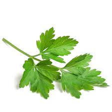 [DTH0000000000562] PARSLEY